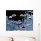 Wasserlilie Wall Mural