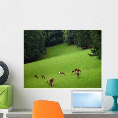 Glade Wall Decal shown on a wall