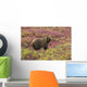 Close up of a grizzly bear standing Wall Mural