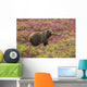 Close up of a grizzly bear standing Wall Mural