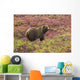 Close up of a grizzly bear standing Wall Mural