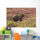 Close up of a grizzly bear standing Wall Mural