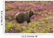 Close up of a grizzly bear standing Wall Mural