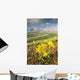 View of yellow Alpine Arnica on a steep slope with Polychrome Pass Wall Mural