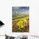 View of yellow Alpine Arnica on a steep slope with Polychrome Pass Wall Mural