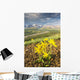 View of yellow Alpine Arnica on a steep slope with Polychrome Pass Wall Mural
