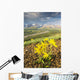 View of yellow Alpine Arnica on a steep slope with Polychrome Pass Wall Mural