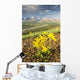 View of yellow Alpine Arnica on a steep slope with Polychrome Pass Wall Mural