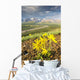 View of yellow Alpine Arnica on a steep slope with Polychrome Pass Wall Mural