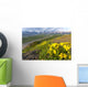 View of yellow Alpine Arnica on a steep slope with Polychrome Pass Wall Mural