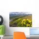 View of yellow Alpine Arnica on a steep slope with Polychrome Pass Wall Mural