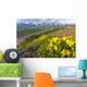 View of yellow Alpine Arnica on a steep slope with Polychrome Pass Wall Mural