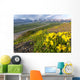 View of yellow Alpine Arnica on a steep slope with Polychrome Pass Wall Mural