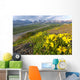 View of yellow Alpine Arnica on a steep slope with Polychrome Pass Wall Mural