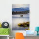 A cow moose stands Wall Mural