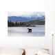 A cow moose stands Wall Mural