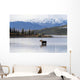 A cow moose stands Wall Mural
