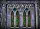 Gothic Windows