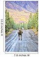 A bull moose stands Wall Mural