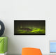 The aurora borealis and a shooting star above Hudson Bay Wall Mural