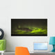The aurora borealis and a shooting star above Hudson Bay Wall Mural
