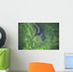 Aurora borealis, or northern lights, directly overhead Wall Mural