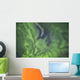 Aurora borealis, or northern lights, directly overhead Wall Mural