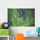 Aurora borealis, or northern lights, directly overhead Wall Mural