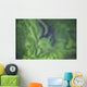 Aurora borealis, or northern lights, directly overhead Wall Mural