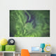 Aurora borealis, or northern lights, directly overhead Wall Mural