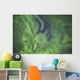 Aurora borealis, or northern lights, directly overhead Wall Mural