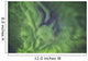 Aurora borealis, or northern lights, directly overhead Wall Mural