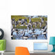 Hudsonian Godwit in flight Wall Mural