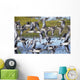Hudsonian Godwit in flight Wall Mural
