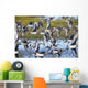 Hudsonian Godwit in flight Wall Mural