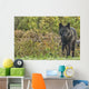 Black wolf along the coast of Hudson Bay Wall Mural