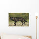 Black wolf along the coast of Hudson Bay Wall Mural