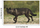 Black wolf along the coast of Hudson Bay Wall Mural