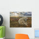 Polar bear sitting in the grass along the shorline of Hudson Bay Wall Mural