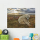 Polar bear sitting in the grass along the shorline of Hudson Bay Wall Mural