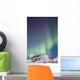 Northern Lights above Talkeetna Wall Decal