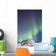 Northern Lights above Talkeetna Wall Decal