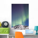 Northern Lights above Talkeetna Wall Decal