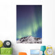 Northern Lights above Talkeetna Wall Decal