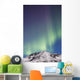 Northern Lights above Talkeetna Wall Decal