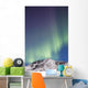 Northern Lights above Talkeetna Wall Decal