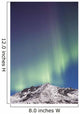 Northern Lights above Talkeetna Wall Decal