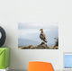 A bird perched on a rock Wall Mural