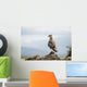 A bird perched on a rock Wall Mural