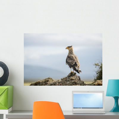 Bird Perched Rock Wall Mural shown on a wall